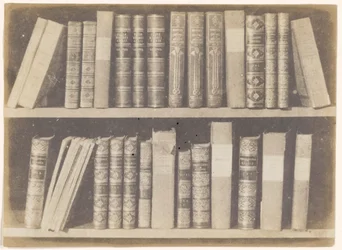 Scena w Bibliotece, płyta VIII z Ołówka natury