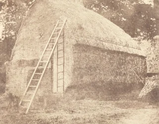 Stóg siana