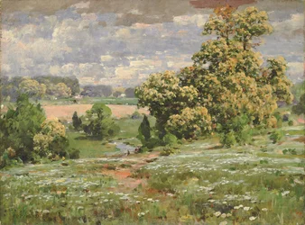 Kasztanowce w rozkwicie, b.d.