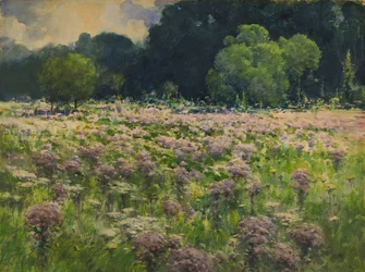 Field of Joe Pie Weeds (Duma łąki)