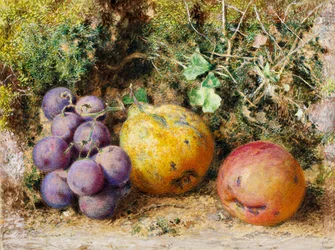 Czarne winogrona, pigwa i Newtown Pippin, 1861 (wc na karcie)