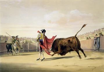 Szczęście płaszcza, 1865