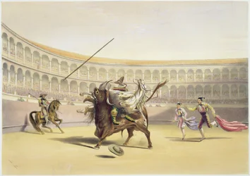 Byk podrzucający Picadora i konia, 1865