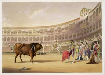 Matador, 1865