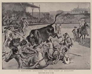 Poniżające widowisko, walka byków w Boulogne