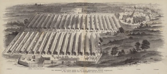 Wdrażanie i pokazy bydła Królewskiego Towarzystwa Rolniczego Anglii na dorocznym spotkaniu w Northampton, 20, 21, 22 lipca 1847
