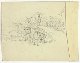 Bydło (rekto); Szarlatan (verso)