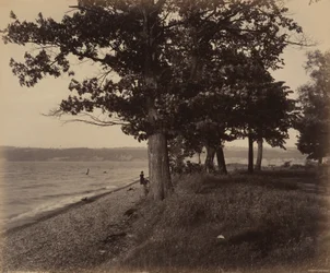 Jezioro Cayuga, Sheldrake, ok. 1895 (zdjęcie)