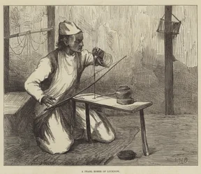 Perełka Lucknow
