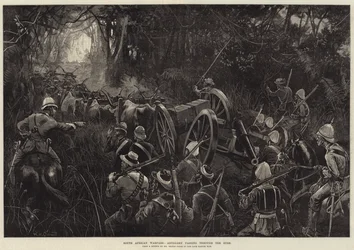 Działania wojenne w RPA, artyleria przechodząca przez busz