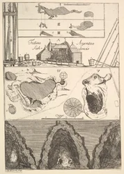 Fodina argentea Sahlensis - Kopalnia srebra w Sala - I z Aubry de La Mottrayes Tra..., 1723-24.