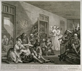 Płyta VIII z A Rake