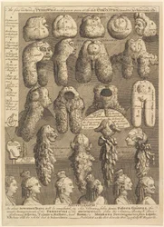 Pięć Zakonów Periwigów, 1761.
