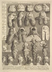 Pięć Zakonów Periwigów, 1761.