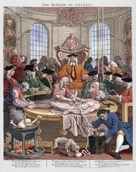 Nagroda za okrucieństwo, lekcja anatomii autorstwa Hogartha z 1750 r. (rycina)