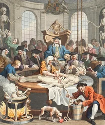 The Reward of Cruelty, z The Four Stages of Cruelty, ilustracja z „Hogarth Restored: The Whole Works of the słynny William Hogarth, ponownie wygrawerowany przez Thomasa Cooka”, wyd. 1812 (rycina ręcznie kolorowana)