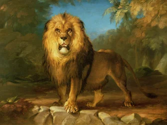 Lew, 1840