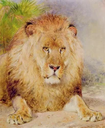 Lew