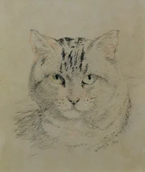 Kot pręgowany, 1874 (ołówek, kredka i węgiel na papierze)
