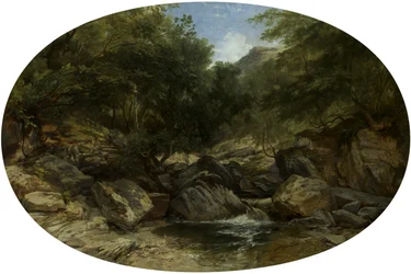 Rocky Stream w Lynmouth
