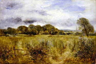 Green Corn (olej na pokładzie)