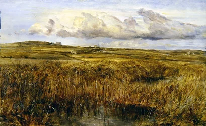 Rhoscolyn, Anglesey (olej na pokładzie)