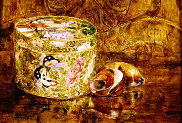 Badanie Chin i muszli