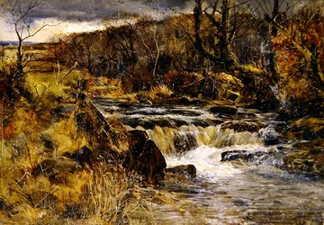 Potok pstrągowy w Walii