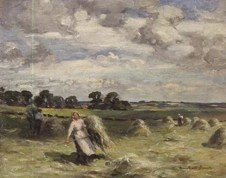 Zbiór w pobliżu Saltoun, East Lothian