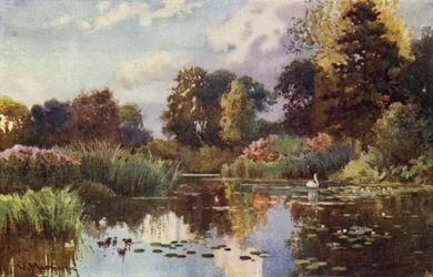 Jezioro w ogrodach botanicznych
