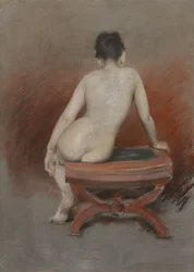 Plecy aktu