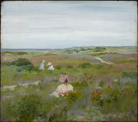 Krajobraz: Shinnecock, Long Island