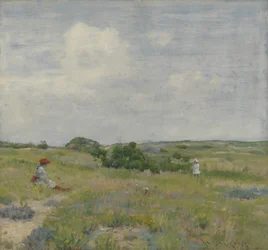 Wzgórza Shinnecock, ok. 1895