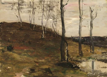 Wzgórze z drzewami, 187278.