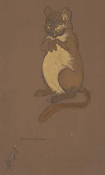Projekt kostiumu popielicy do Alicji w Krainie Czarów, 1915