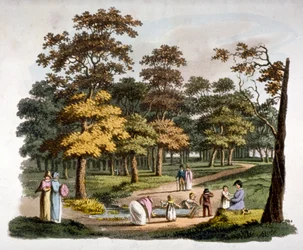 Widok studni „zanurzającej” w Hyde Parku, Westminster, Londyn, ok. 1810 r.