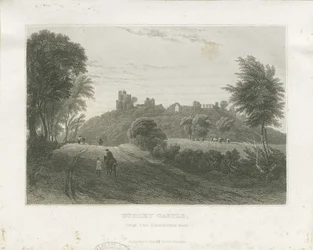 Zamek Dudley: staloryt, bd [c1831] (druk)