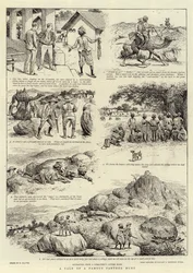 Opowieść o słynnym polowaniu na pantery