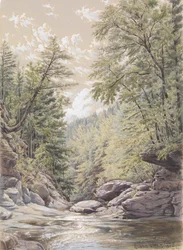 Ząbek Catskill w Palingsville, 1856.