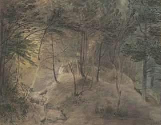 Widok ze Źródełka w Echo, ok. 1808 (akwarela i tusz na papierze tkanym)
