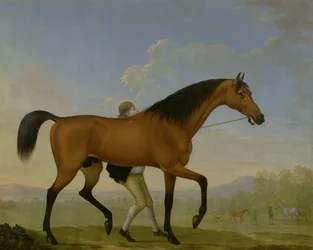 Książę Ancasters Bay Stallion, Blank, idzie w kierunku Mare