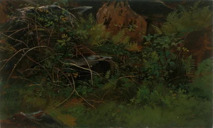 Studiuj z natury.