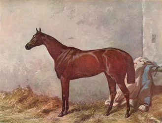 Pustelnik: zwycięzca Derby Stakes w Epsom, 1867, 1903