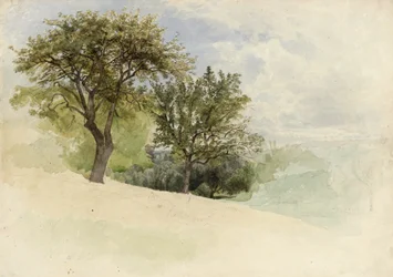 Krajobraz z drzewami na wzgórzu, 1880-85 (toaleta, grafit i białe akcenty gwaszu na kremowym grubym papierze)