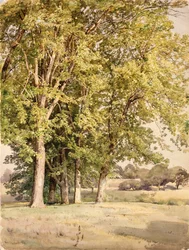 Klony w hrabstwie Chester, Pensylwania