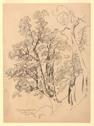 Badanie listowia, Trachselwald, Berno, Szwajcaria