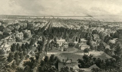„Miasto Buffalo”, 1872.