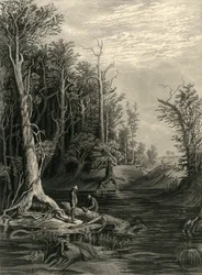 „Cickahominy”, 1872.