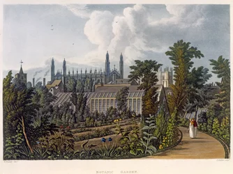 The Botanical Gardens, Cambridge, z "The History of Cambridge", rytowane przez Josepha Constantine Stadlera (fl.1780-1812), opublikowane przez R. Ackermanna, 1815 (akwatinta barwna)