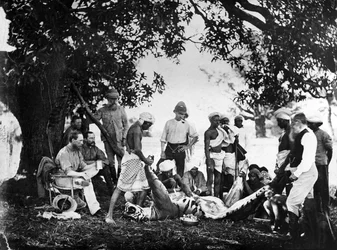 Skórowanie tygrysa, ok. 1870 r.